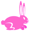 Pink bunny