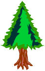 Pine tree